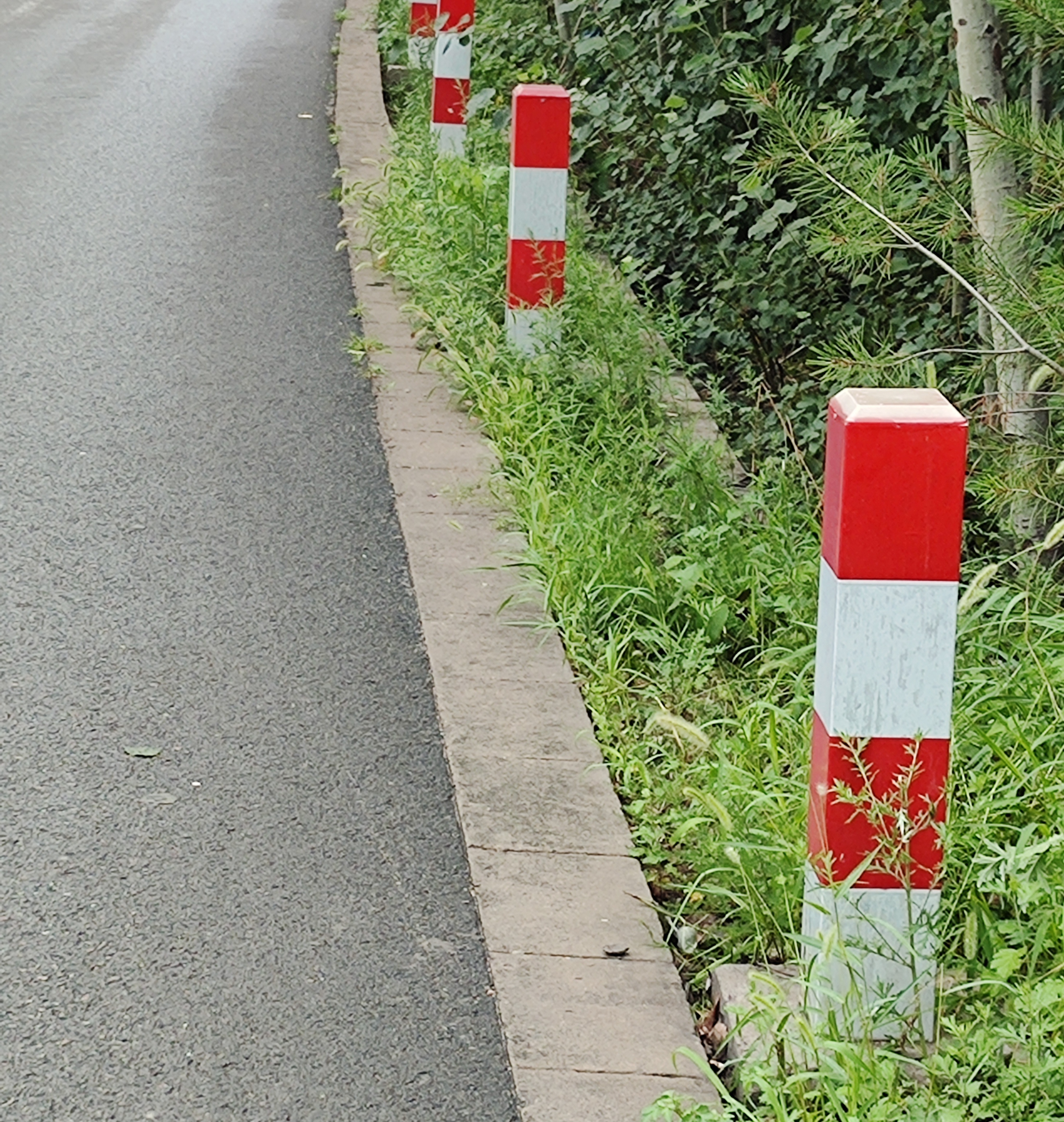 道路边的红白警示柱,守护着车辆与行人的安全.