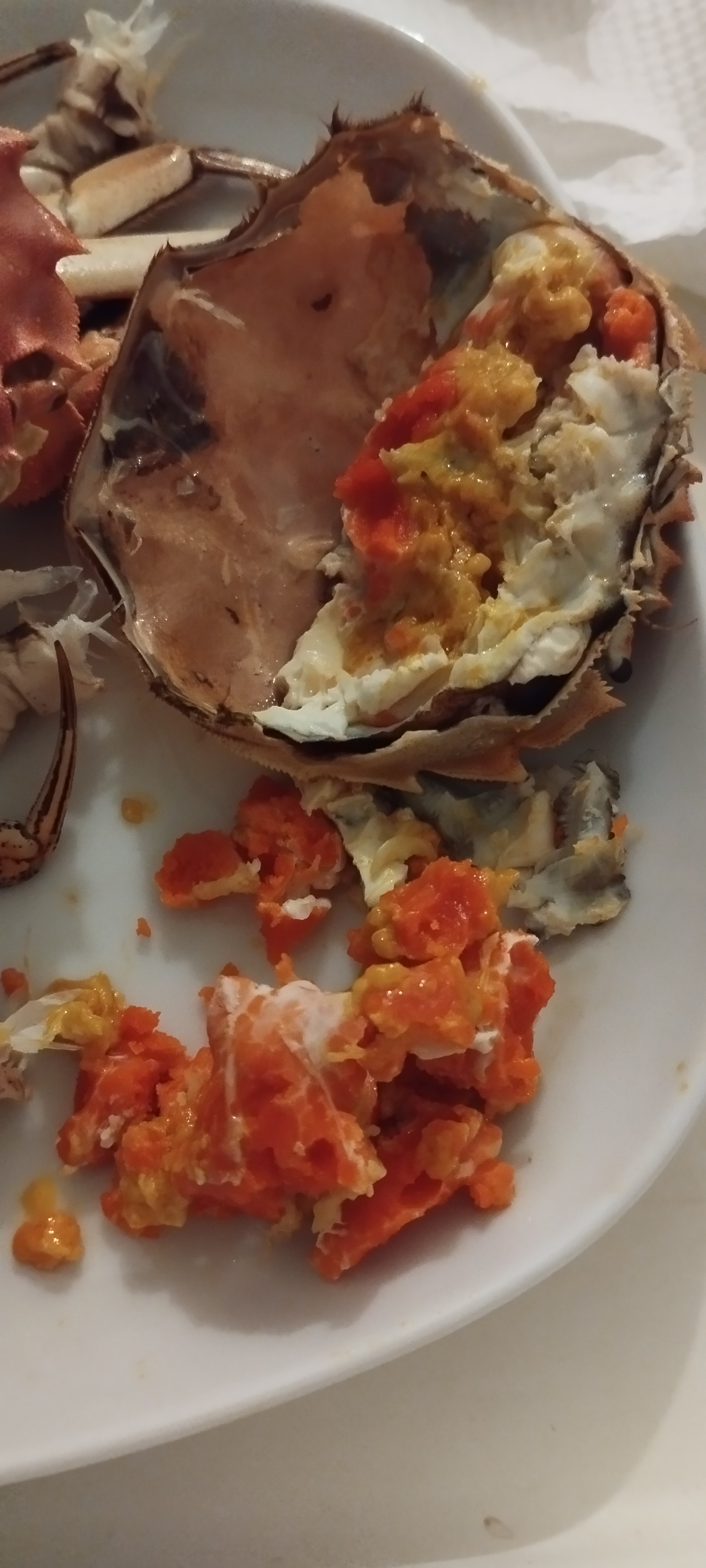 它们原生长在长江中下游一带的河湖之中,性成熟的大闸蟹会迁徙到长江