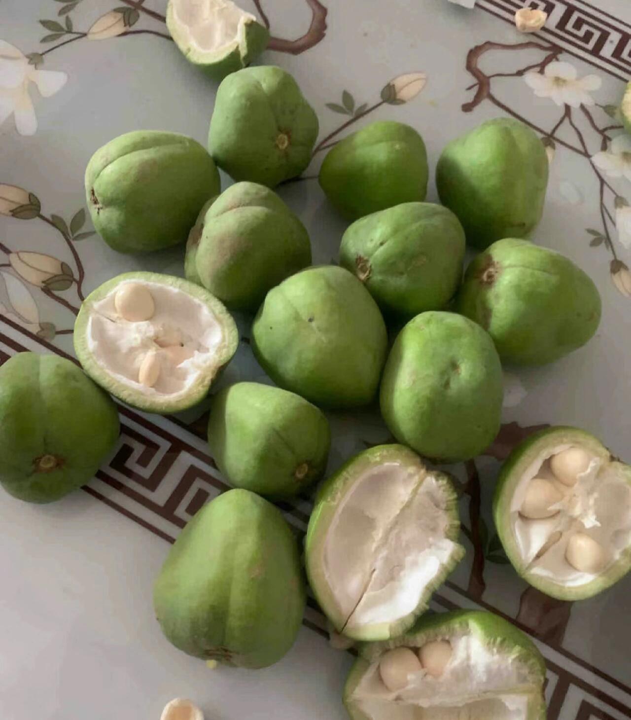 文冠果,属于西北地区的木瓜,一般都长在山崖边边,又陡又立的山边边,不