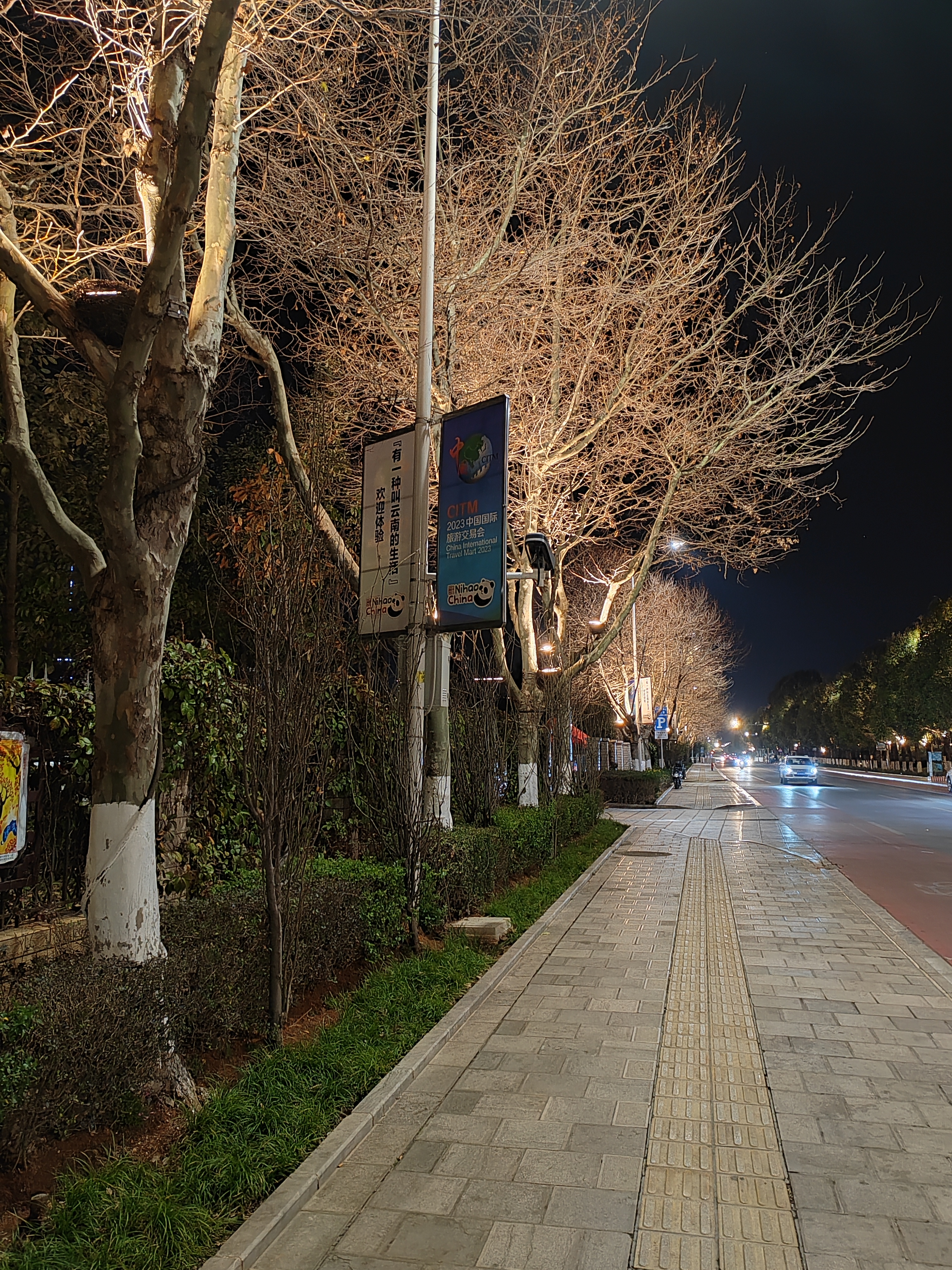 汽车们安静地守候,仿佛在为这个寂静的夜晚增添一份神秘感.