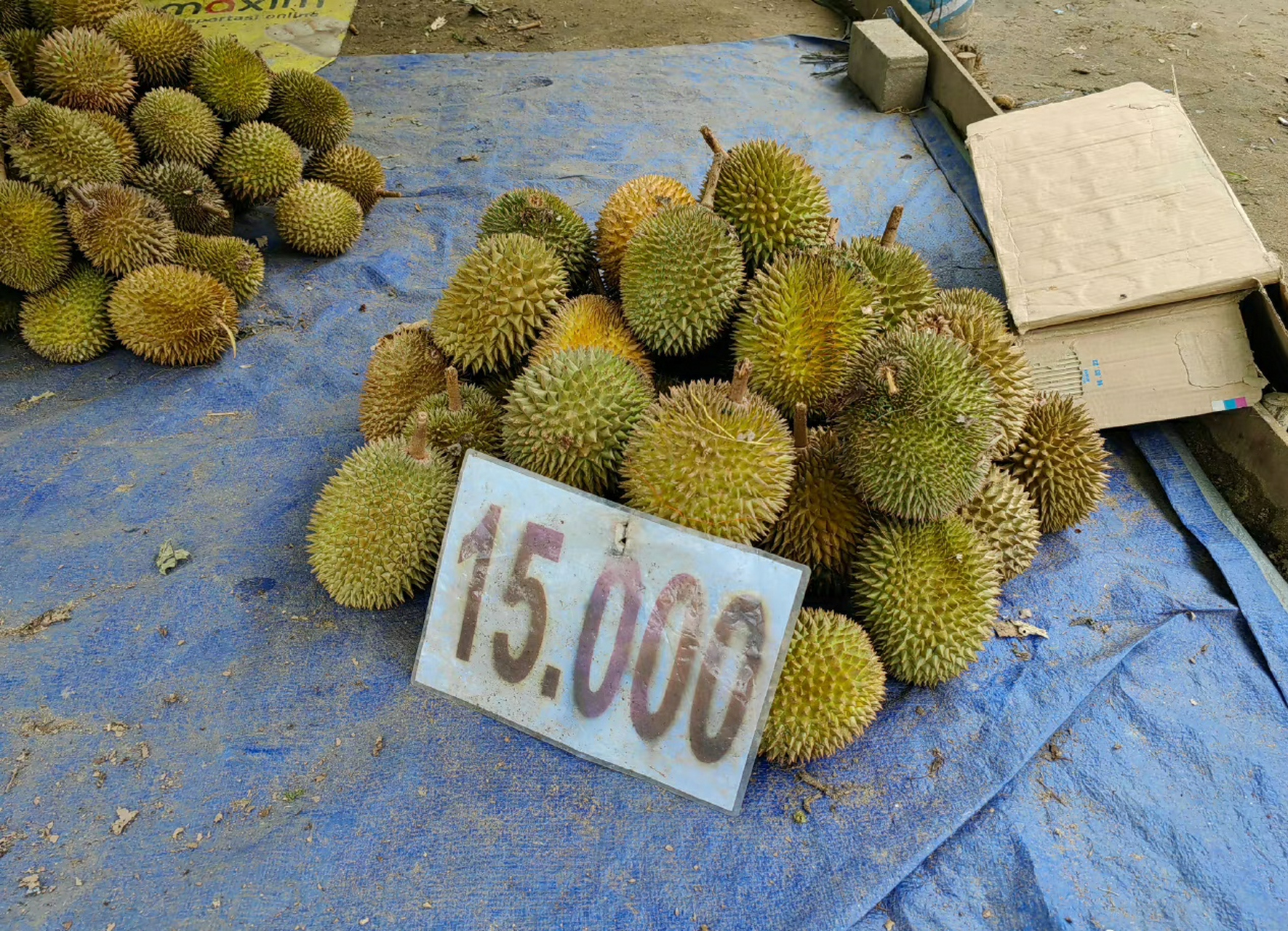 印尼的榴莲,5到10元人民币一个,价格真不贵 67