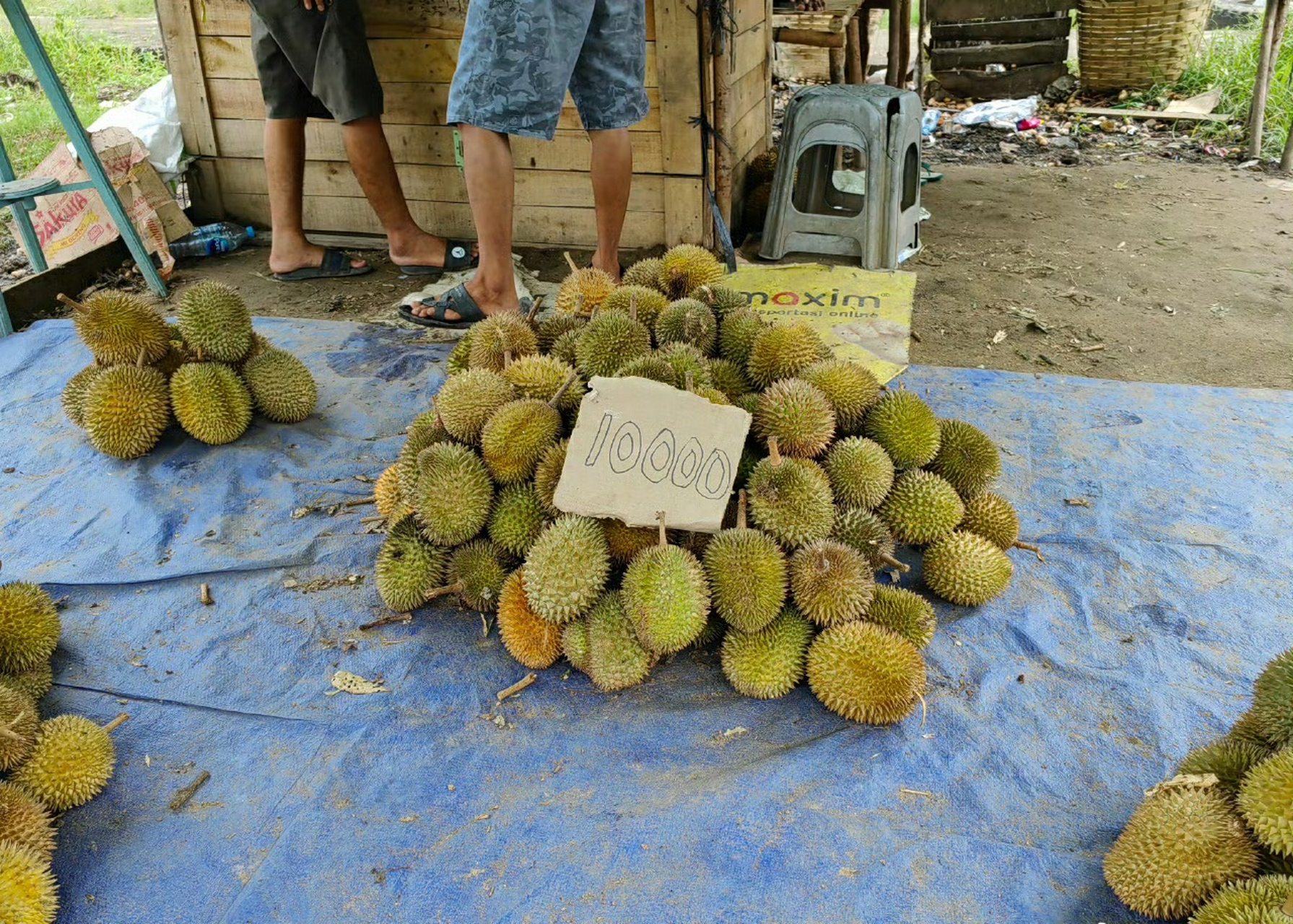 印尼的榴莲,5到10元人民币一个,价格真不贵 67