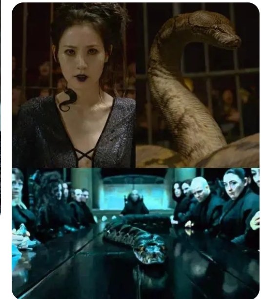 启示 时间:1998年大战后 地点:霍格沃兹由纳威·隆巴顿杀 名称:纳吉尼