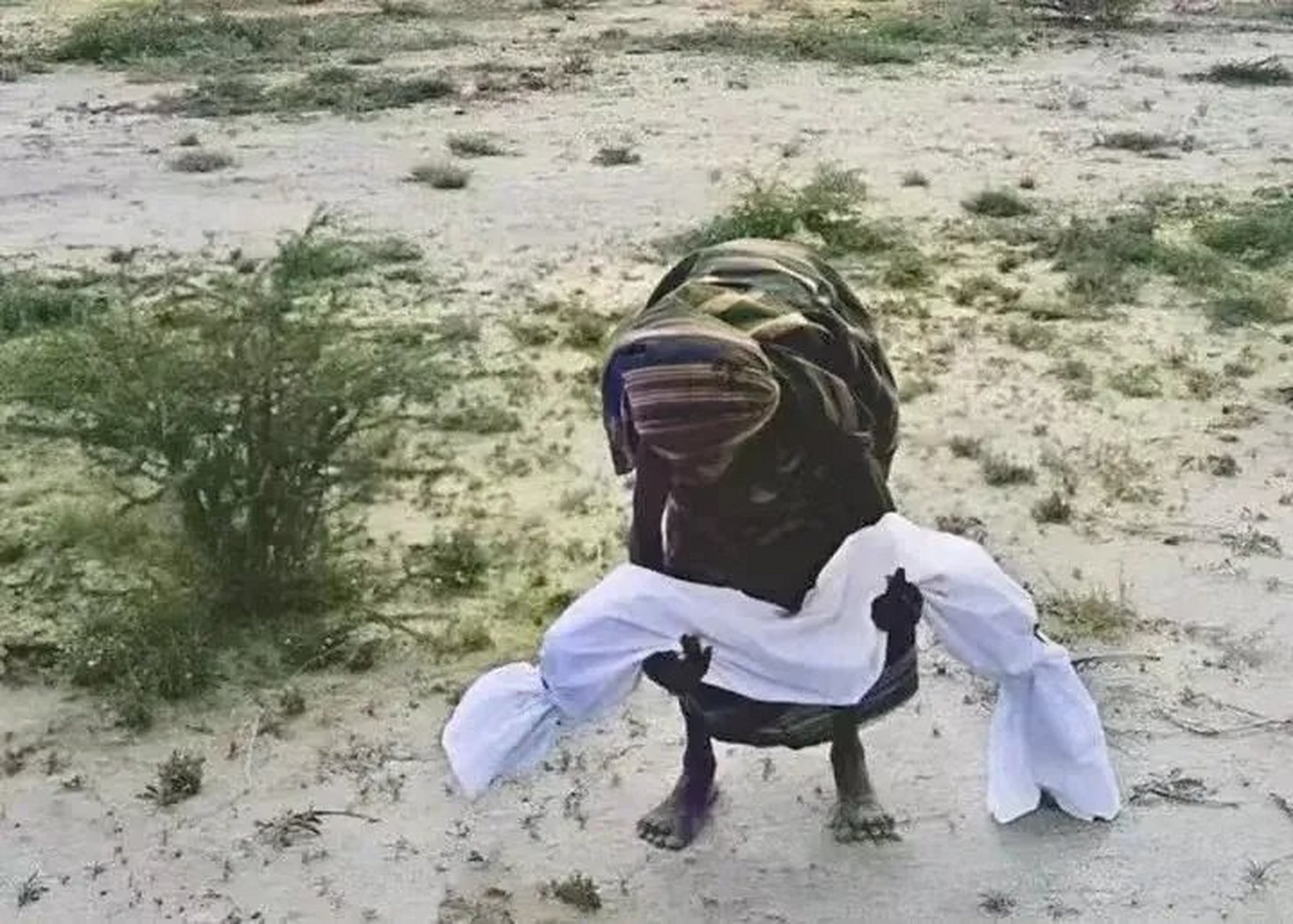 这张照片拍摄于1992年,索马里大饥荒,母亲抱着饿死孩子去埋葬时的情景