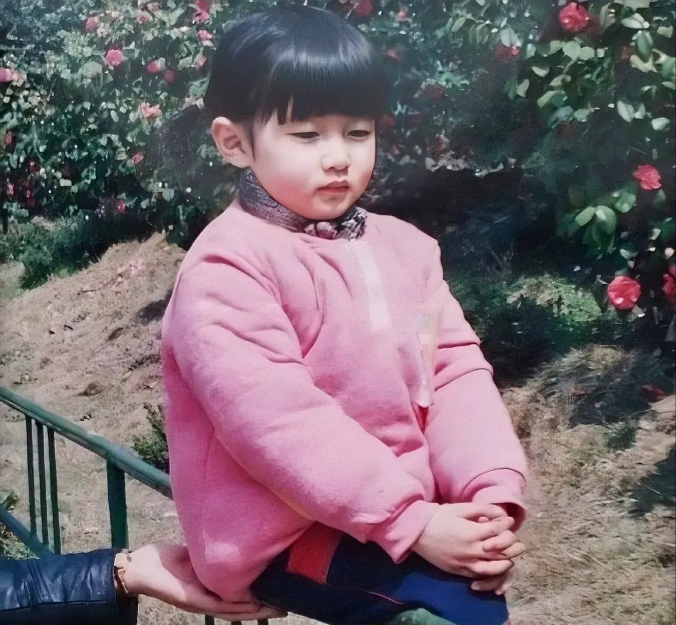 上海4岁小姑娘江疏影在公园里玩耍的照片.