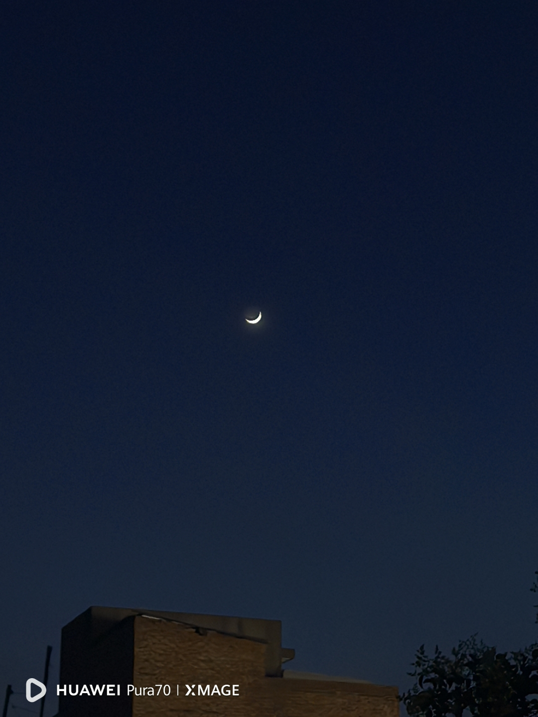 今晚的月亮牙,就像挂在天上的镰刀,预示着夏日丰收的