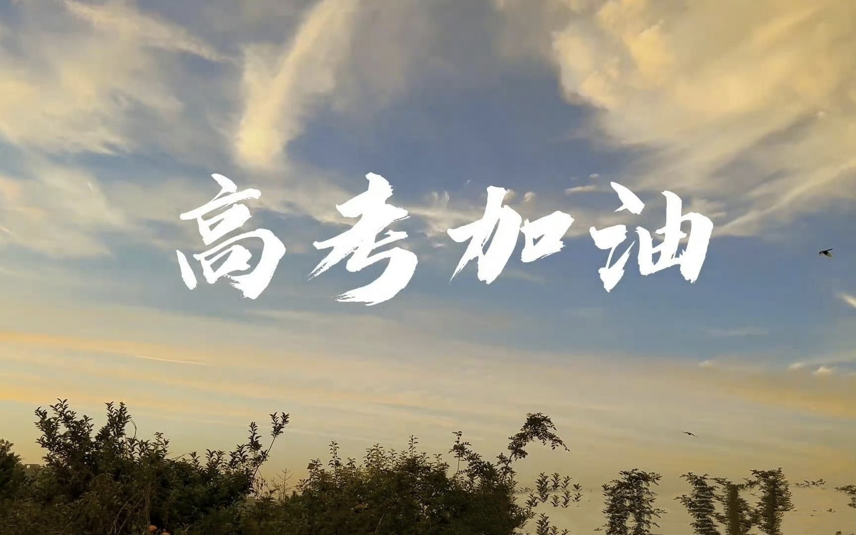 了,一时一刻都不能放松,如果学校发到你手里一套整个高考复习题的话